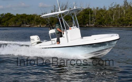 Dusky 217 ficha técnica y opiniones